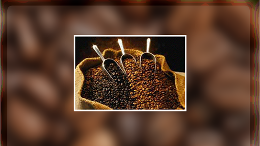 Cavallini Coffee A Brand of Coffee by Globex America