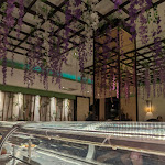 Photo n°2 de l'avis de Stefan.. fait le 04/04/2024 à 14:37 sur le  Restaurant 4mosa à Hamburg