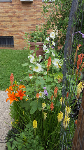 East Passyunk Crossing Community Garden image 6