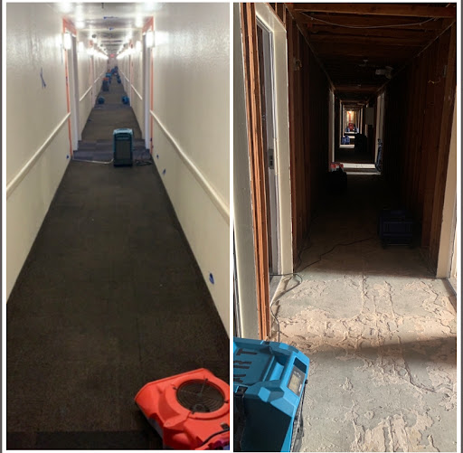 Water Damage Restoration Service «American Response Team», reviews and photos