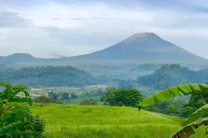 PANGI karangasem image