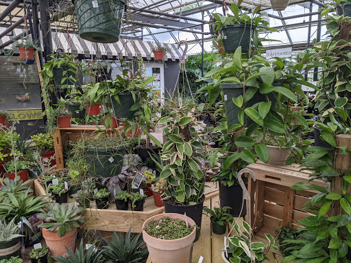 Garden Center «H J Benken Florist & Garden», reviews and photos, 6000 Plainfield Rd, Cincinnati, OH 45213, USA