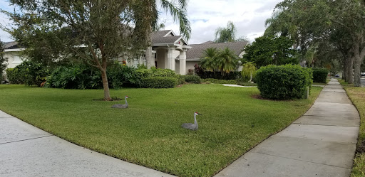 Golf Club «Kissimmee Bay Country Club», reviews and photos, 2801 Kissimmee Bay Blvd, Kissimmee, FL 34744, USA