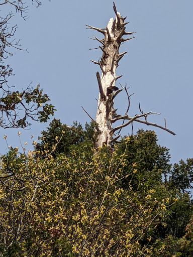 Park «Marine View Park», reviews and photos, 20945 Marine View Dr SW, Normandy Park, WA 98166, USA