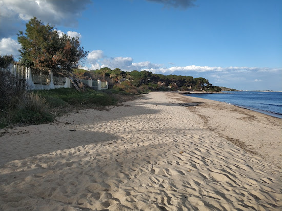 Foxi e Sali Beach