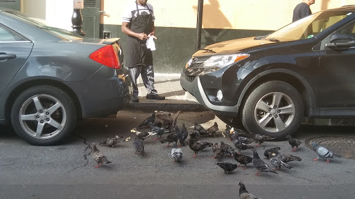 Live Music Venue «Preservation Hall», reviews and photos, 726 St Peter St, New Orleans, LA 70116, USA