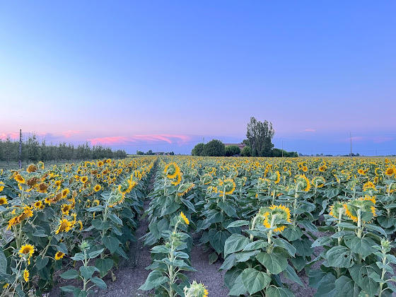 Photos des visiteurs Bed & Breakfast La Casa di Biba 48024 Massa Lombarda