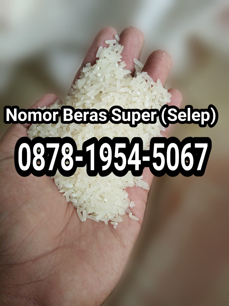 Beras Super Top (selep Abah Nasib)