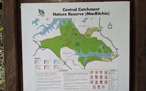Central Catchment Nature Reserve image