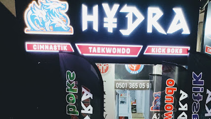 Hydra savunma sanatları taekwondo kickboks cimnastik spor salonu