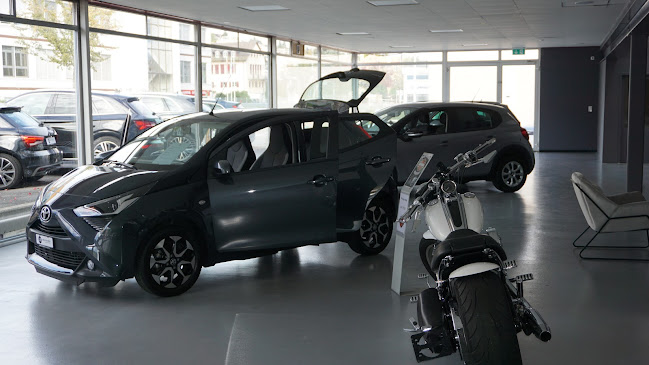 Kommentare und Rezensionen über Les Rives Automobiles SA