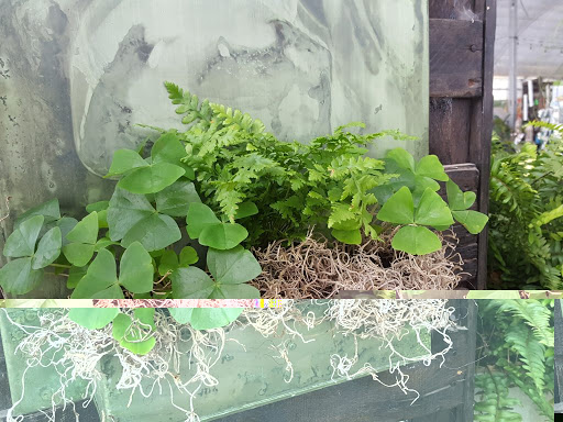 Garden Center «Quality Gardens», reviews and photos, 409 PA-228, Valencia, PA 16059, USA