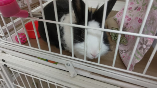 Pet Supply Store «Petco Animal Supplies», reviews and photos, 855 E Bidwell St, Folsom, CA 95630, USA