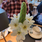 Photo n°11 de l'avis de Olaf.a fait le 01/05/2023 à 13:27 sur le  Gut Welpe à Vechta