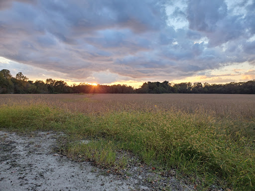 Nature Preserve «Wye Island Natural Resources Management Area», reviews and photos, 632 Wye Island Rd, Queenstown, MD 21658, USA