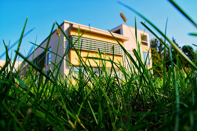 Pécs, Akác u., 7632