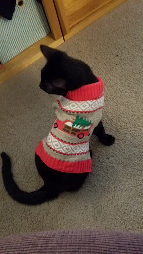 Pet Supply Store «Pet Food Express», reviews and photos, 372 Woodside Rd, Redwood City, CA 94061, USA