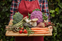 Ayana Davis Nutrition - Photo 2 - Car repair in , Concord