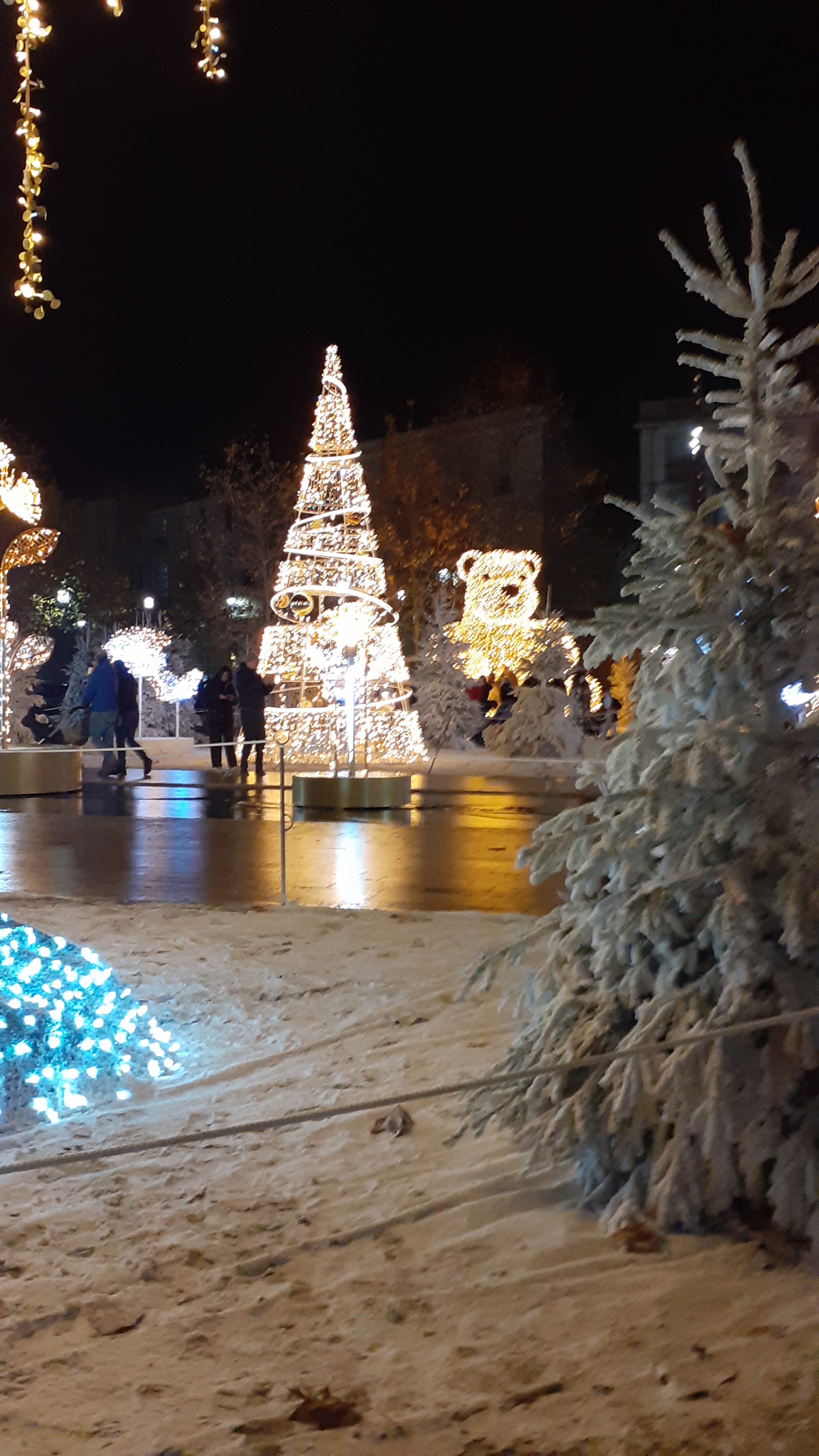 Photo n° 6 de l'avis de jean-dominique.i fait le 25/12/2022 à 18:29