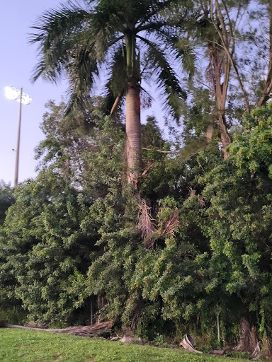 Park «Brian Piccolo Sports Park & Velodrome», reviews and photos, 9501 Sheridan St, Hollywood, FL 33024, USA