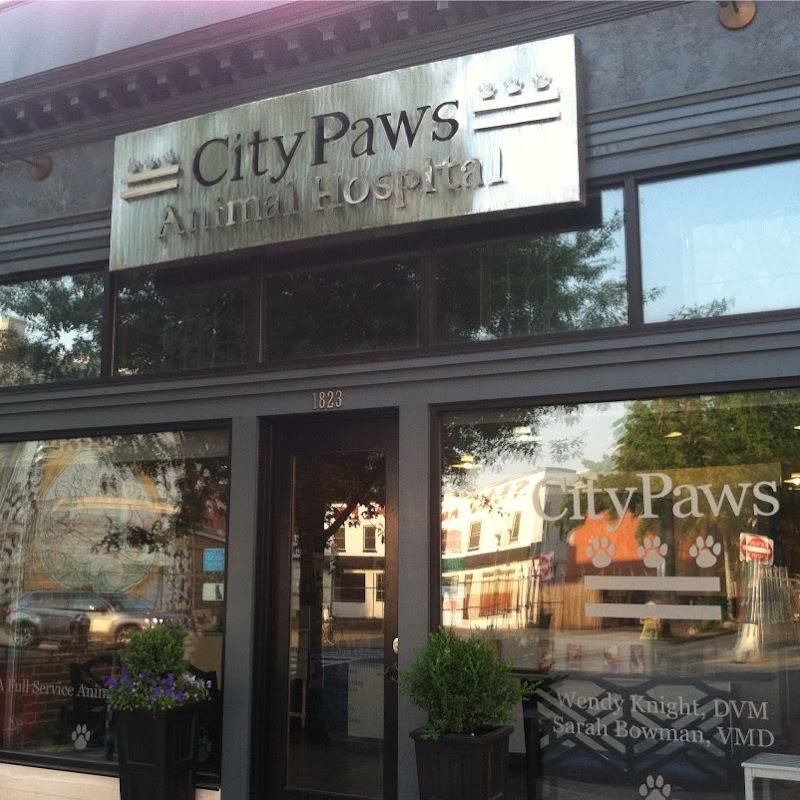 CityPaws Animal Hospital