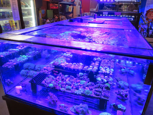 Pet Store «The Pet Shop», reviews and photos, 2235 S Power Rd #107, Mesa, AZ 85209, USA