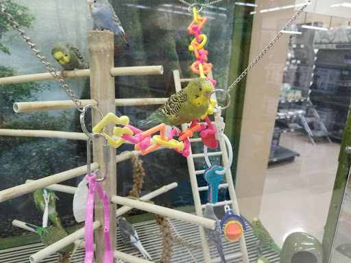 Pet Supply Store «Petco Animal Supplies», reviews and photos, 1065 Kennedy Rd, Windsor, CT 06095, USA