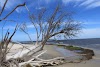 North Island