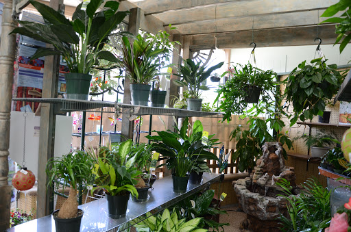 Florist «First Class Flowers», reviews and photos, 1120 Central Ave, Nebraska City, NE 68410, USA