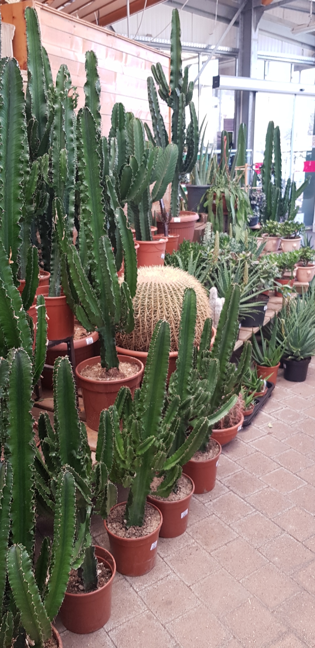 Photo n° 2 de l'avis de Alexandra.o fait le 21/03/2019 à 15:10