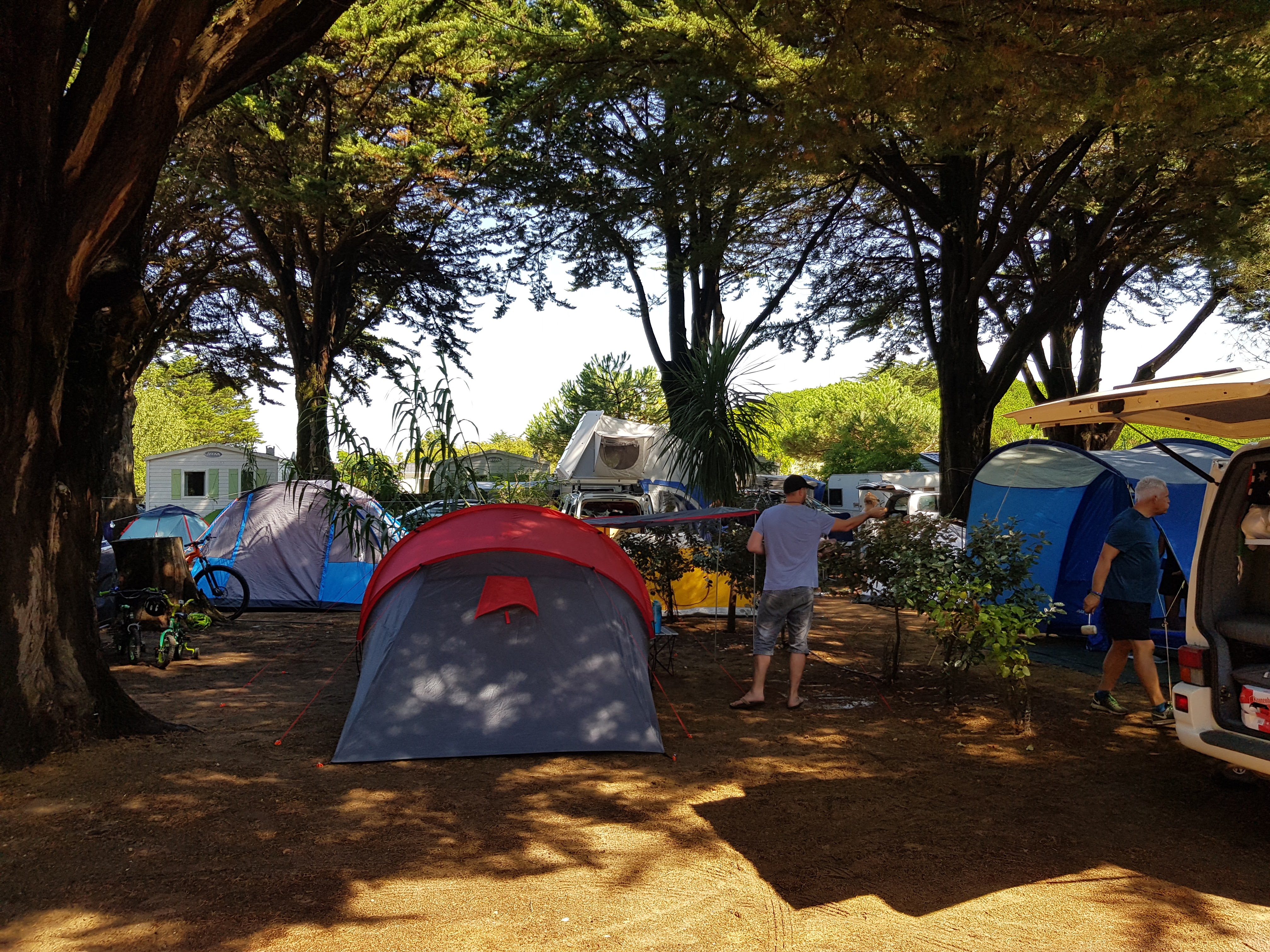 Photo n° 3 de l'avis de Sachi.e fait le 19/08/2020 à 20:40