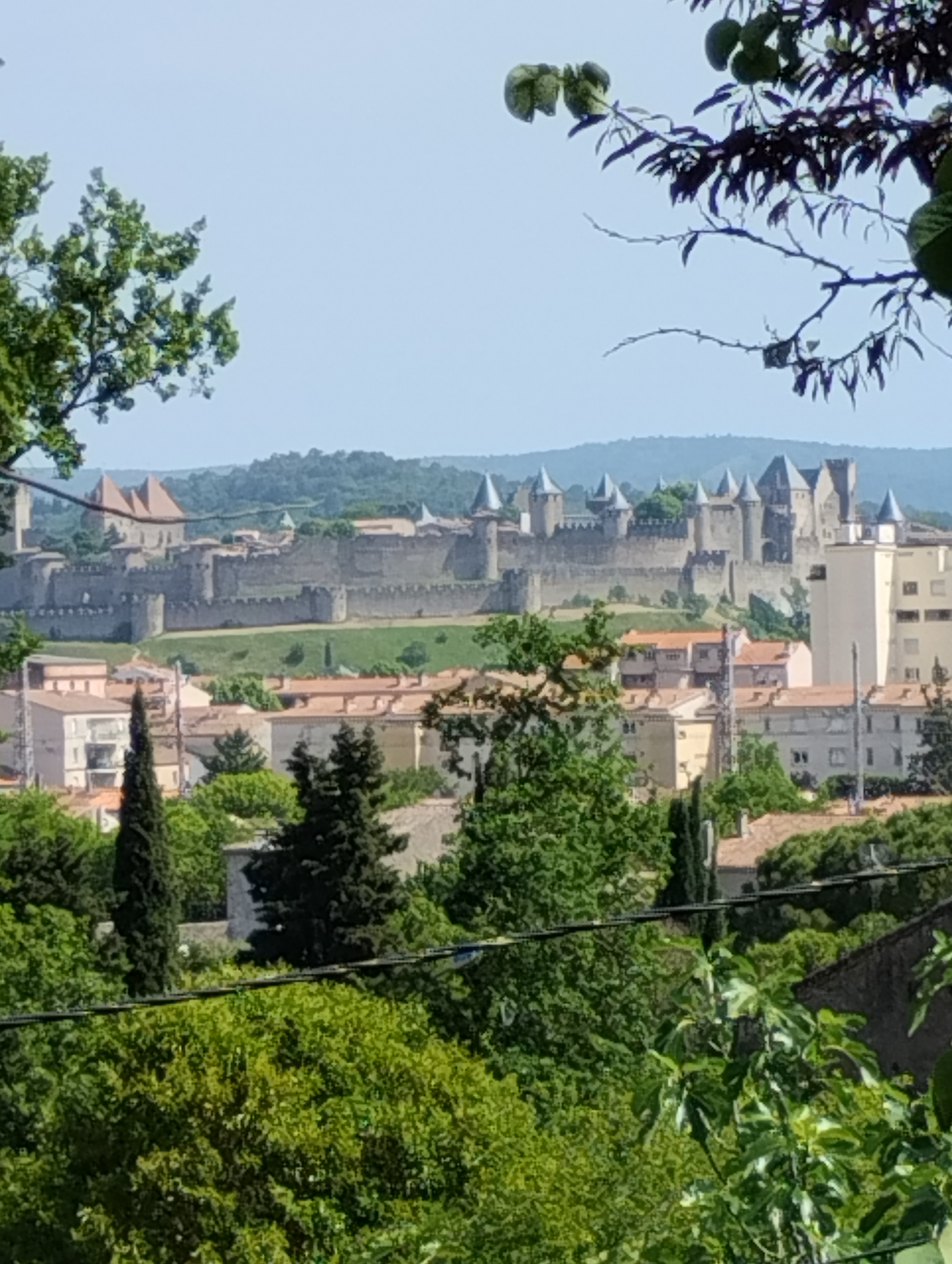 Photo n° 1 de l'avis de Françoise.a fait le 21/01/2024 à 12:19