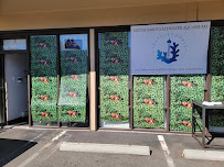 Seattle Corals Aquariums - Photo 2 - Car repair in Bellevue, WA, Seattle