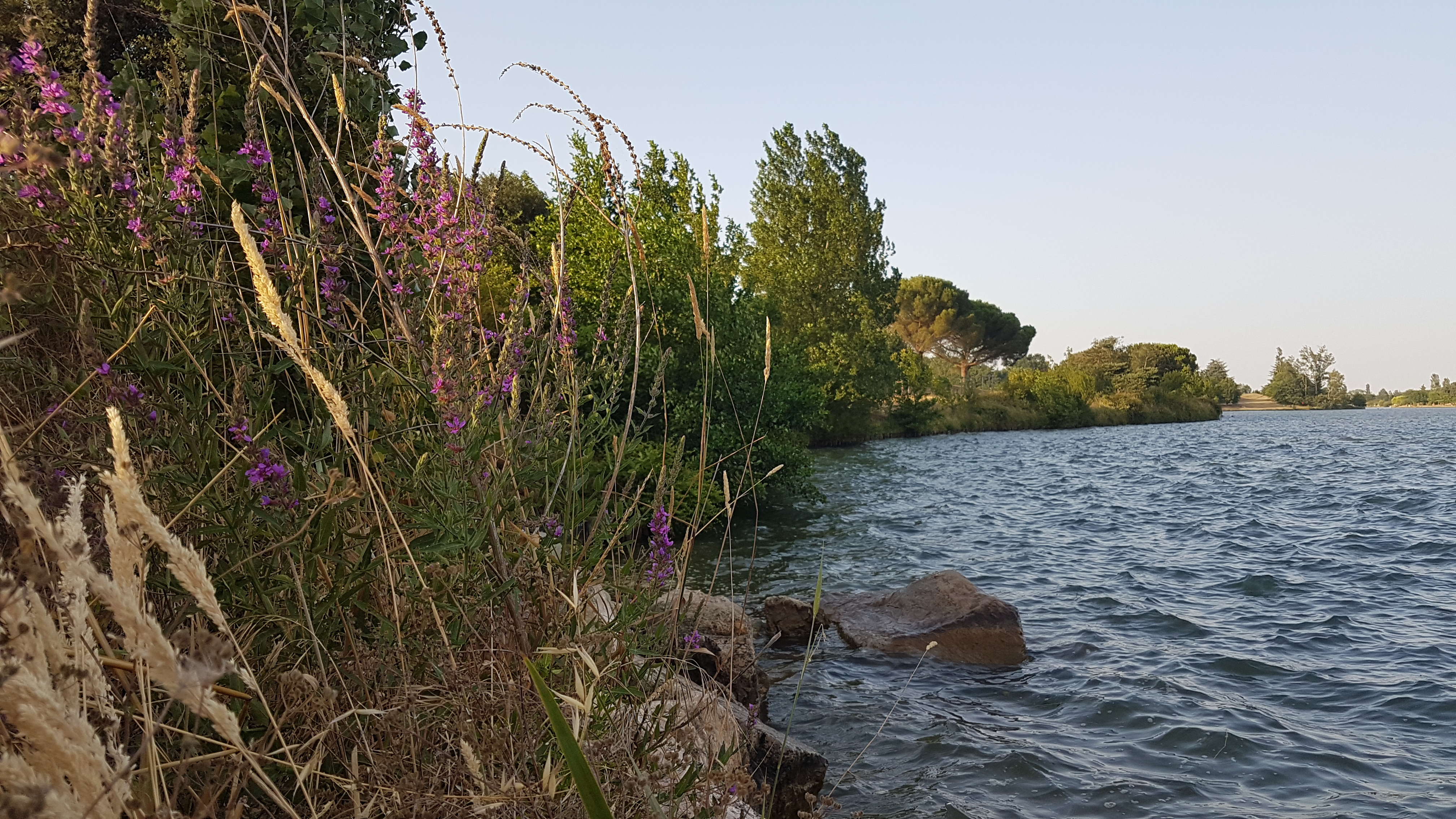 Photo n° 5 de l'avis de Isabelle.e fait le 25/07/2019 à 18:24