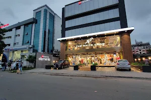 The White Crow, Surat image