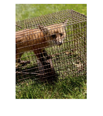 Schmelzer Family Wildlife - Photo 6 - Car repair in , Hagerstown