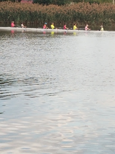 Brewery «Constitution Yards», reviews and photos, 308 Justison St, Wilmington, DE 19801, USA