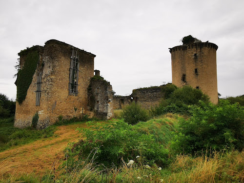 Château de La Prune à Ceaulmont