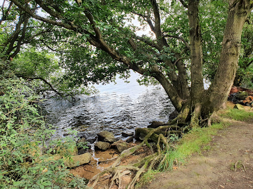 Rutland Water Nature Reserve