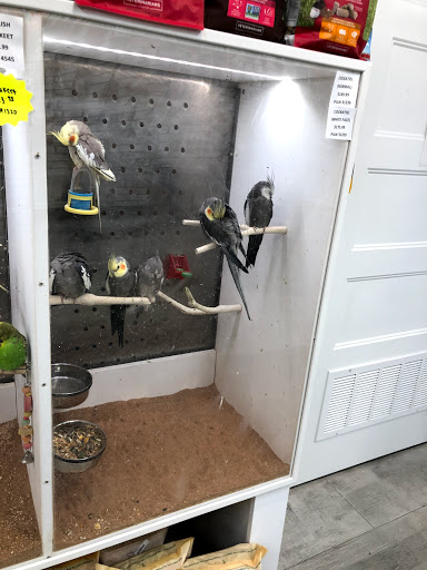 Pet Supply Store «Buckles Feed Depot & Pet Supply», reviews and photos, 220 S 4th St, Lafayette, IN 47901, USA