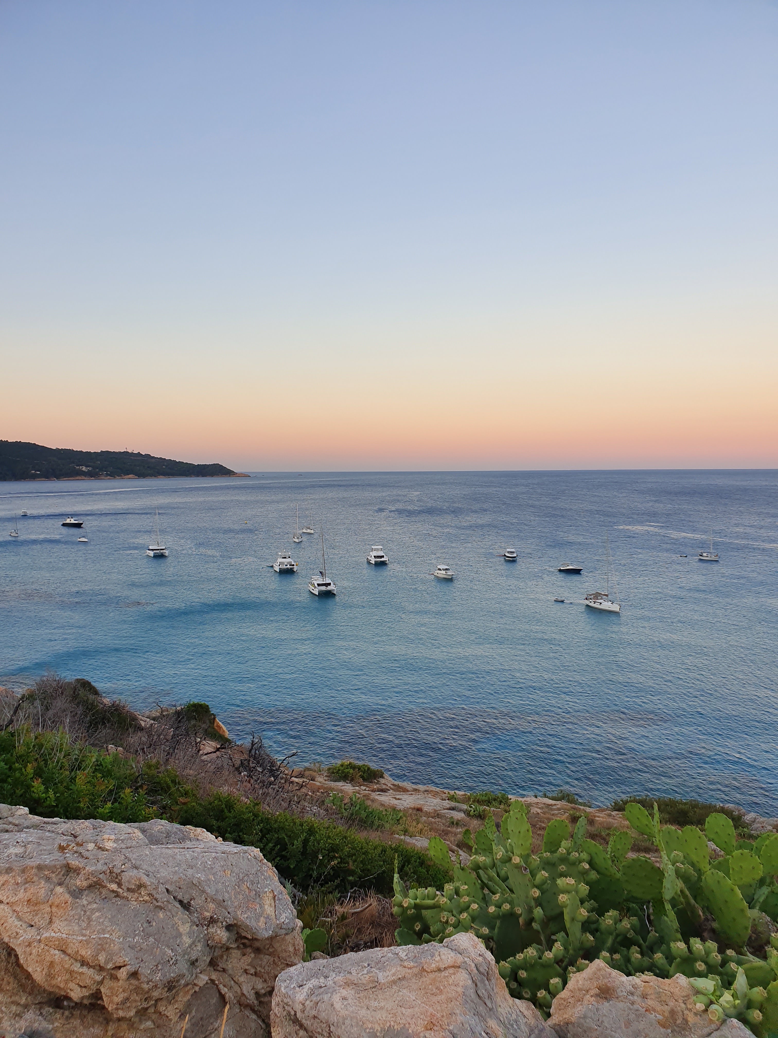 Photo n° 2 de l'avis de S. fait le 08/08/2019 à 20:45