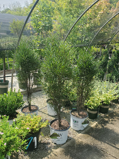 Garden Center «Holscher & Hackman Garden Center», reviews and photos, 6088 Harrison Ave, Cincinnati, OH 45247, USA