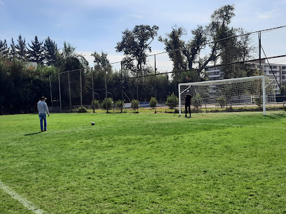 Liga Independiente De Futbol LIF