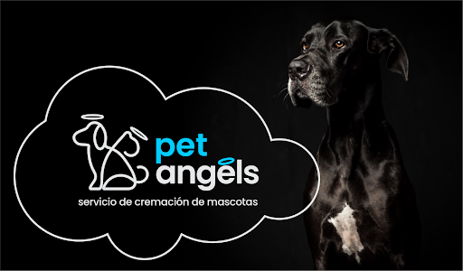 PetAngels - Servicios de Cremación de Mascotas Guadalajara