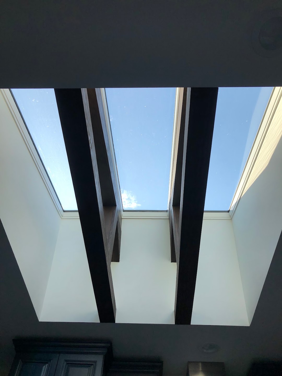 Future Windows & Siding