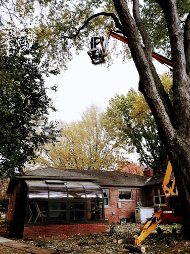 Tree Service «Polgar Tree Service & Removal LLC», reviews and photos