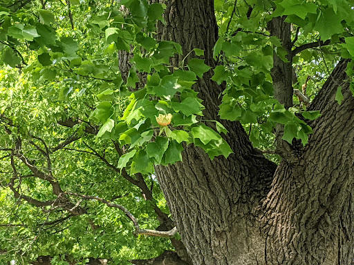 Community Center «Garfield Park Nature Center», reviews and photos, 11350 Broadway Ave, Garfield Heights, OH 44125, USA