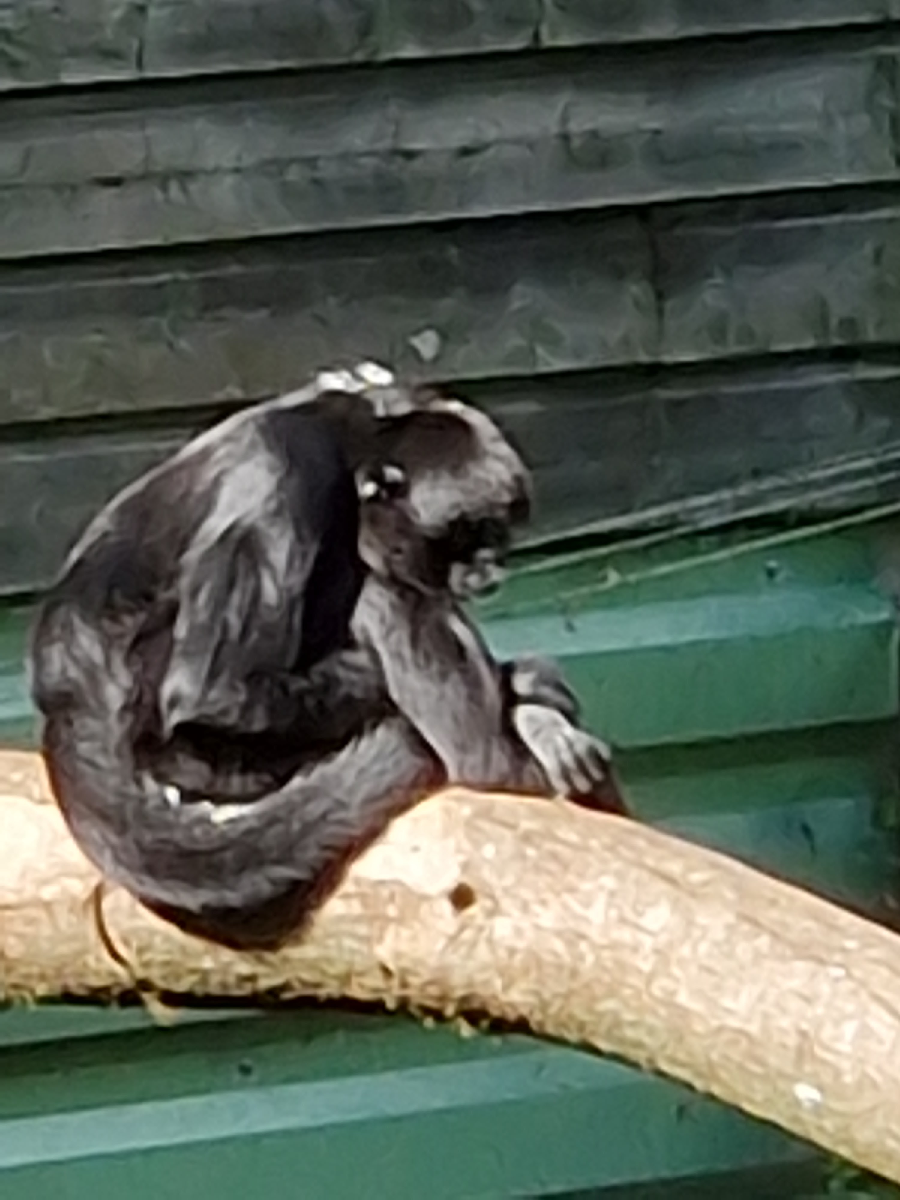 Photo n° 3 de l'avis de Christine. fait le 28/08/2023 à 20:24