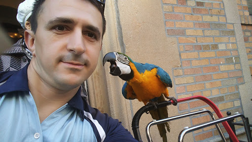 Pet Supply Store «Petland Discounts - Brighton Beach», reviews and photos, 416 Brighton Beach Ave, Brooklyn, NY 11235, USA