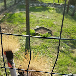 Photo n°3 de l'avis de Angelo.a fait le 30/09/2019 à 08:36 sur le  Oasi Fiume Alento à Prignano Cilento